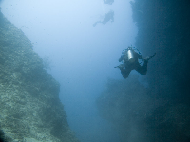 Underwater Scene, Drop Off